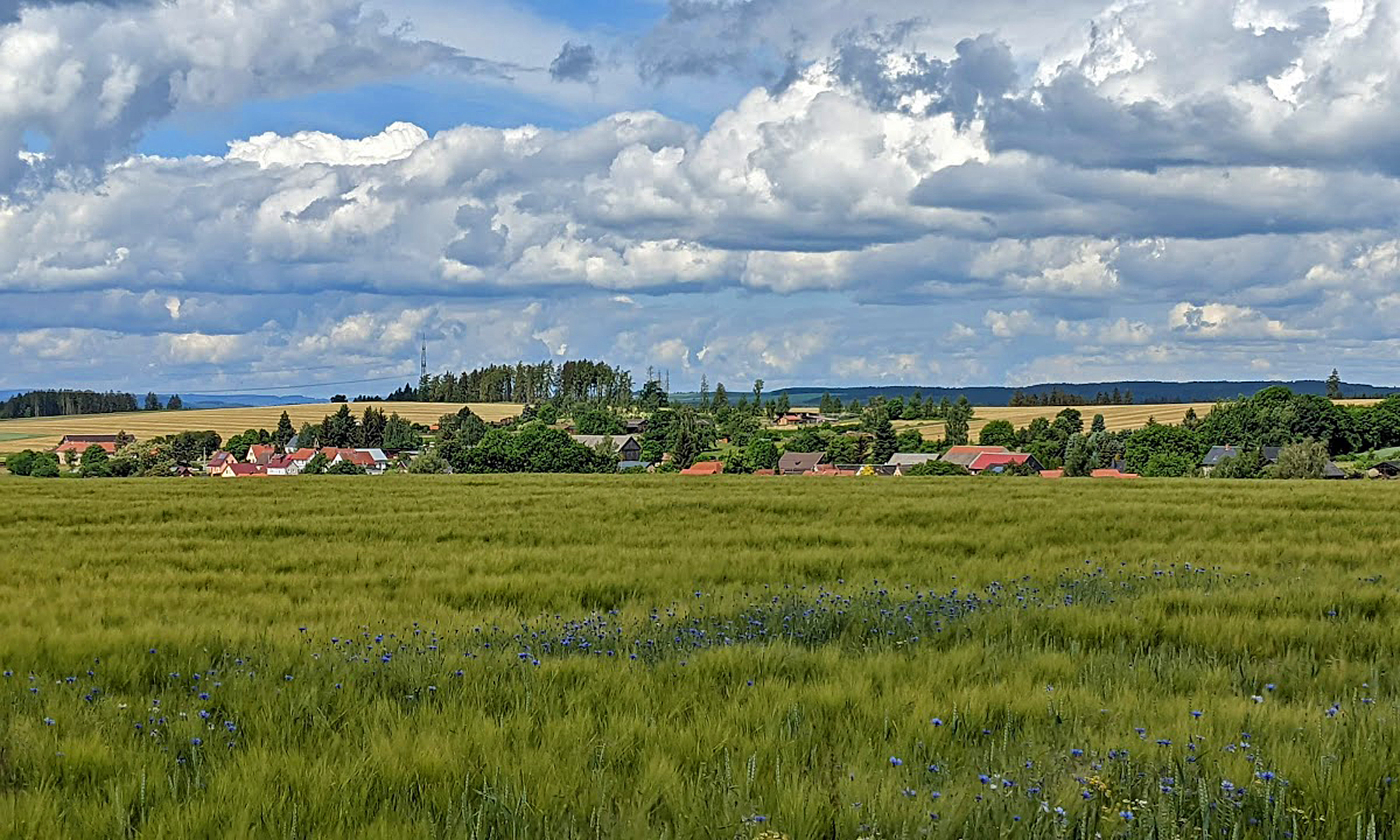 Blick auf Külmla von der Höhe aus im Frühsommer