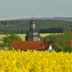 Blick auf die Kirche von Schöndorf im Frühjahr Blick auf die Kirche von Schöndorf, im Vordergrund siegt man blühenden Rapps und im Hintergrund die Straße nach Volkmannsdorf